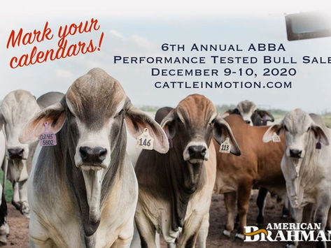 Come see us at our new stomping grounds!