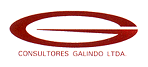 logo_consultores_galindo.gif