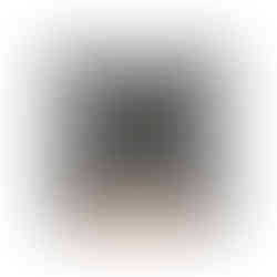 AV_CarL_Side_NK_WM