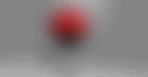 CharcoalGrillA_RED_DW_WM