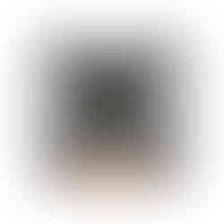 AV_CarL_Back_NK_WM