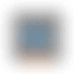 GT_OmegaVan_Tex_QuarterFront_03_WM