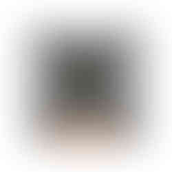 AV_CarL_Front_Wrecked_NK_WM