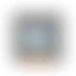GT_OmegaVan_Tex_Side_03_NK_WM