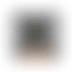AV_CarL_Front_NK_WM