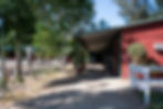Tree-lined covered barn aisle at Hillside Farms horse boarding facility in Lake View Terrace, California