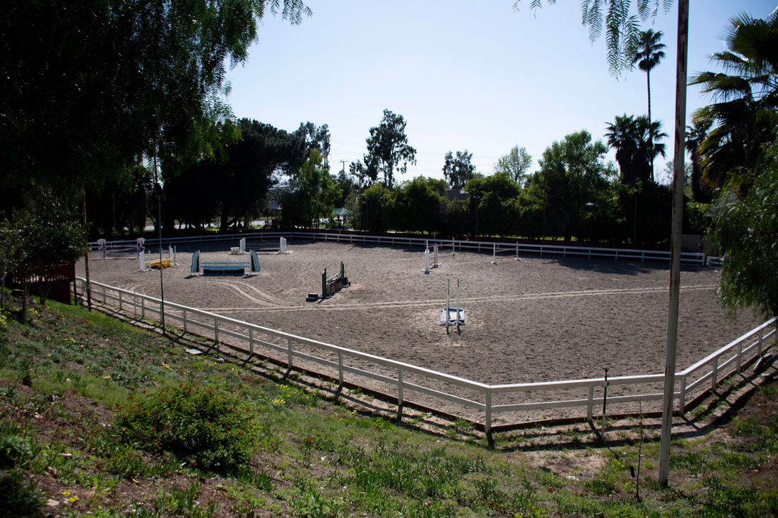 Full-size jumping arena with multiple fences and standards at Hillside Farms equestrian facility in Lake View Terrace