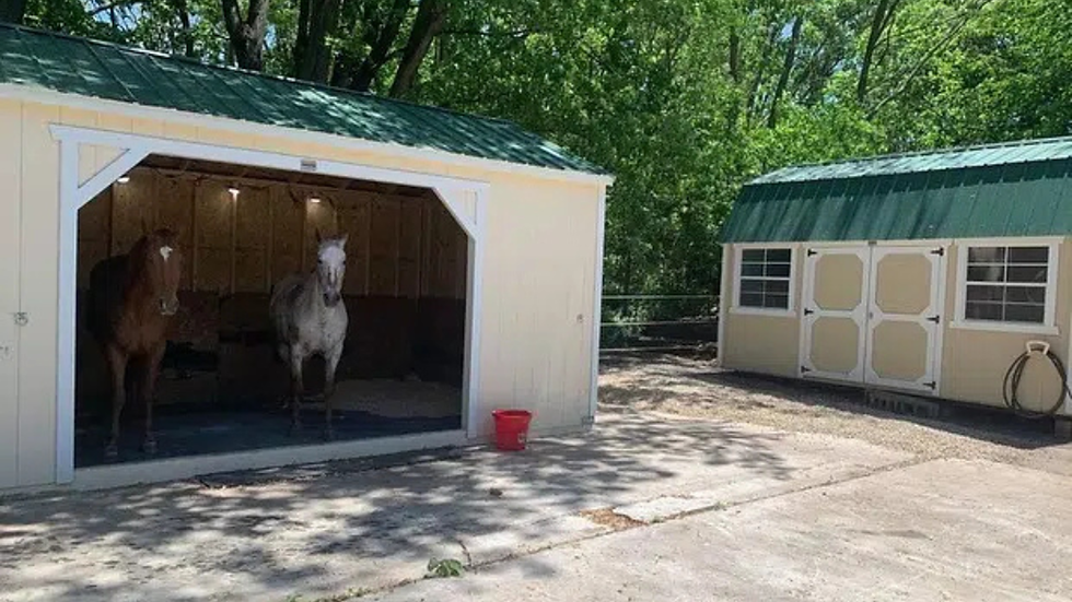 featured shelters (1).png