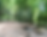 0d33a1605c07f6d64938e38f14e69b4692c8e521.png