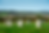 03e73c08939ac344db9a6f44b87a248b2f035447.png