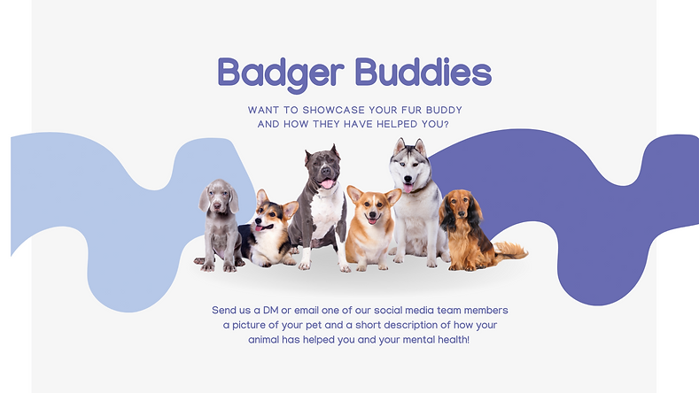 Website 1st page slideshow.png