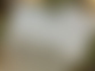 What Does a Wedding Celebrant in NSW Actually Do? (And Why It Matters)