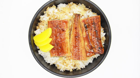 Unagi Don