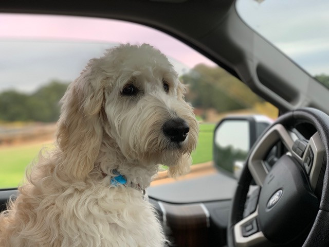 Meet Knox