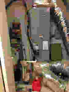IMG_3381.jpeg