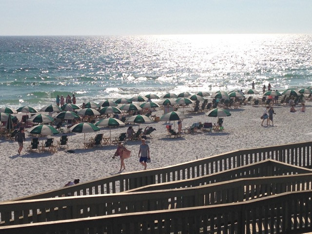 beachumbrellas.jpeg