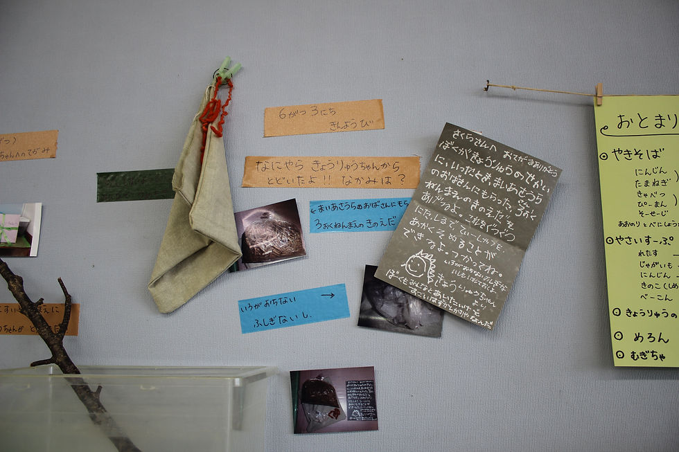 ３億年前の枝と不思議な石