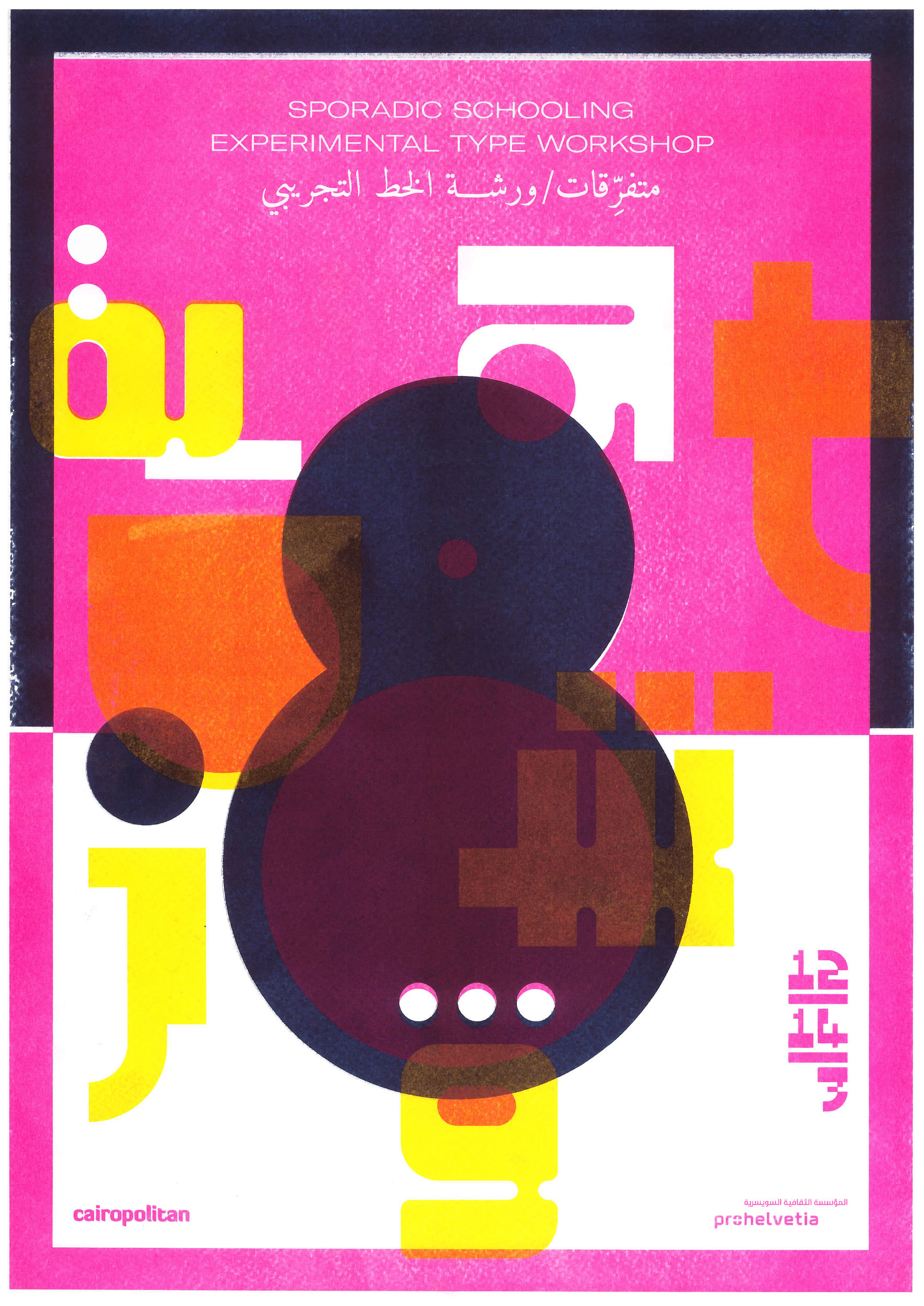 Sporadic Schooling Workshop