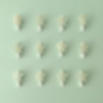 Pinzas blancas con estrellas de porpurina.