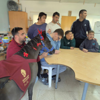 Miniature Horse Therapy “Majestic”