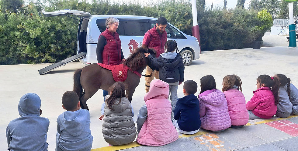 Miniature Horse in Schools