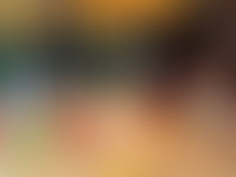 Miniature Horse in Schools