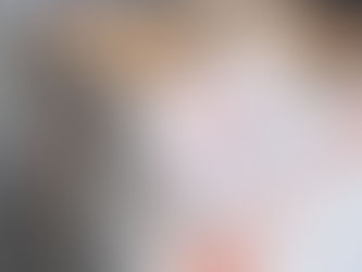 COP 30: O que esperar?