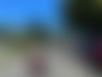 Dougie in his wheelchair seen from the rear proceeds along a quiet road towards a road the leads to a military base prohibited to the public,