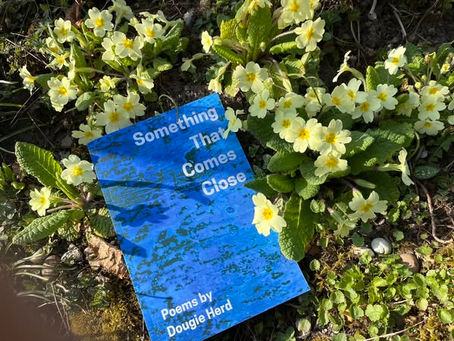Blue covered poetry book by Dougie resting on a flower bed of yellow primroses