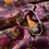 Thumbnail: Wine floral saree