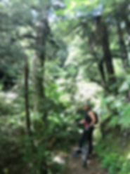 image1 (8).jpeg