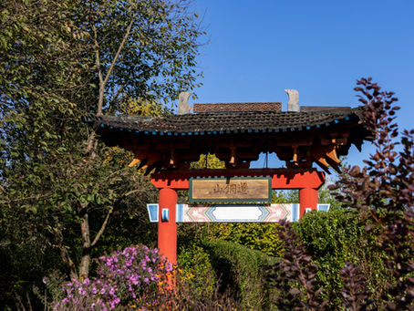 January 2025 – A Month for Vision, Direction, and Youth Leadership