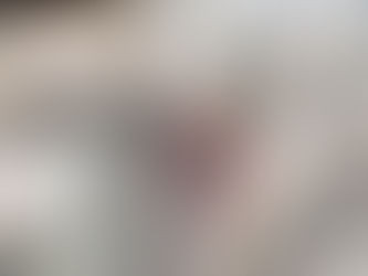 Hallan osamenta de 1200 años de antigüedad con anillo de jade en obras del Tren Maya