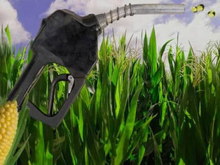 Habilitan más etanol y el campo sale a disputar el futuro de los combustibles