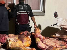 Detenido por abigeato y faena ilegal en El Rodadero #Embarcacion