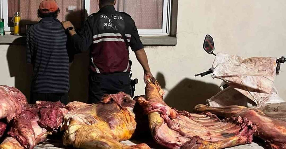 Detenido por abigeato y faena ilegal en El Rodadero #Embarcacion