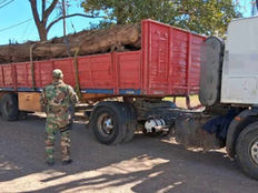 #Anta La Policía incautó un cargamento ilegal de madera