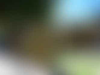 Un joven de 25 años mató a golpes a su abuelo de 80: confesó el crimen y dijo que había sido abusado por él