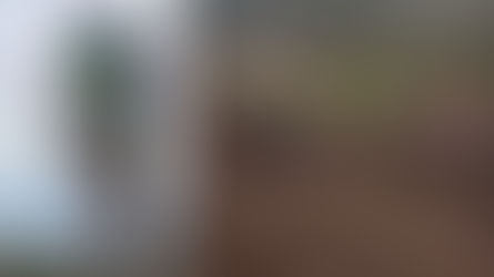 #Motocross Conmoción por la muerte de un motociclista tras caer al suelo y ser arrollado