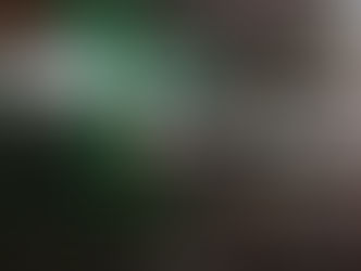 Cinco vidas perdidas en la Avenida Paraguay: se inicia el proceso judicial contra el conductor borracho y drogado