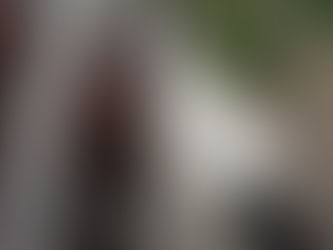 Caballería secuestra 4 equinos sueltos en Villa Lavalle #Capital