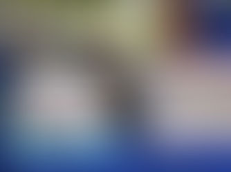 Últimos semanas para donar ejemplares para la Suelta de Libros