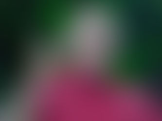 Diosdado Cabello apuntó contra Milei tras confirmarse que el Cartel de los Soles no existe: "Es un jalabolas"