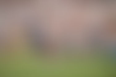 River perdió ante Talleres por la Liga Profesional y sufrió su primera derrota como local en lo que va del año