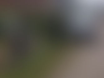 Protección Ciudadana: Se realizaron más de 190 infracciones contravencionales en Capital