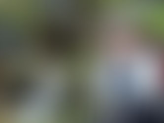 Tragedia aérea en Nepal: murió una empresaria argentina apasionada por el turismo de aventura