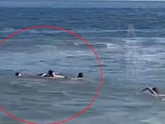 El dramático rescate de Martín Demichelis y su familia en el mar de Punta del Este: qué les pasó