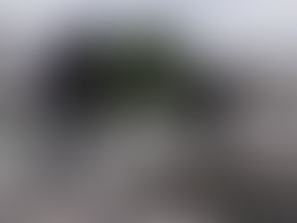 Videovigilancia permitió detectar un robo de cables en el ex Sanatorio Parque: Dos hombres fueron imputados