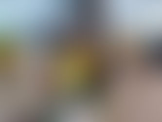 Fuerte trabajo de asistencia y contención social en los barrios de zona sudeste