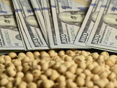 La soja sufrió su mayor caída diaria desde 2023 y sacudió al mercado de granos